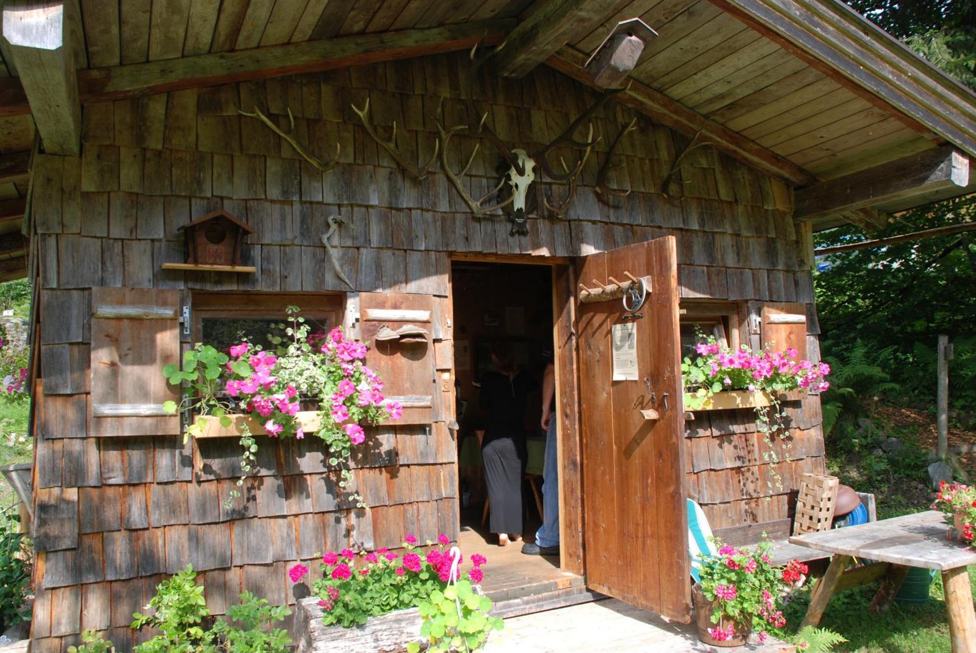 Hotel Gasthaus Steinberg Westendorf Exterior foto